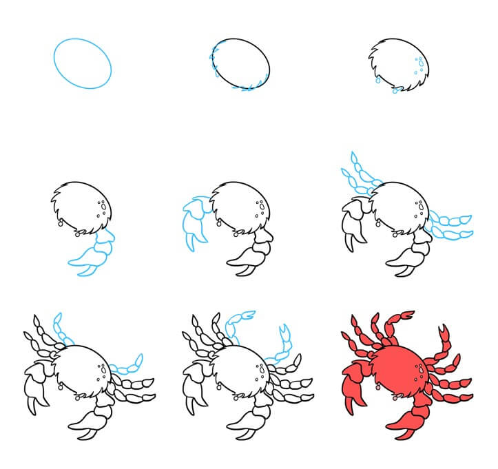 Zeichnen Lernen Krabbe Idee (29)