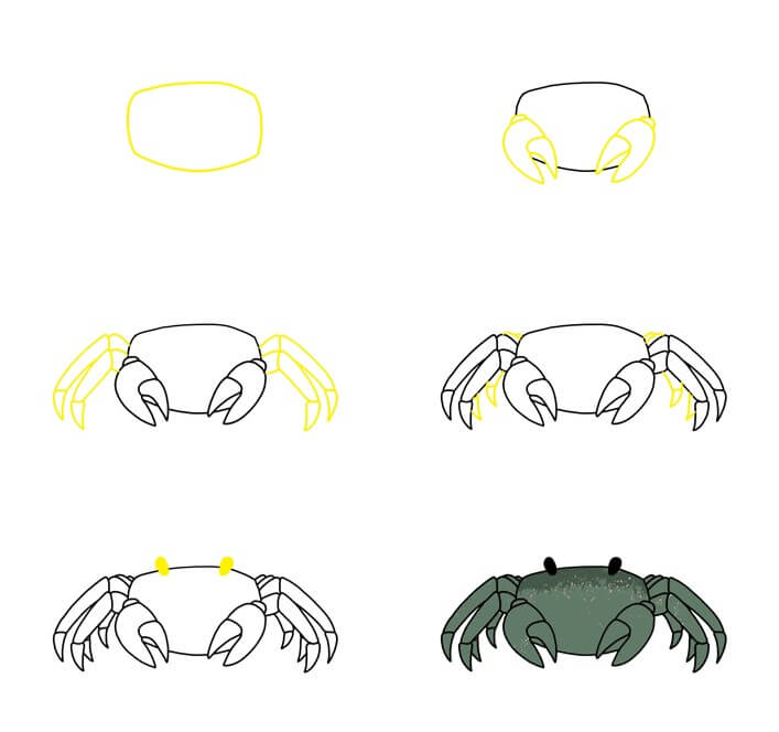 Zeichnen Lernen Krabbe Idee (30)