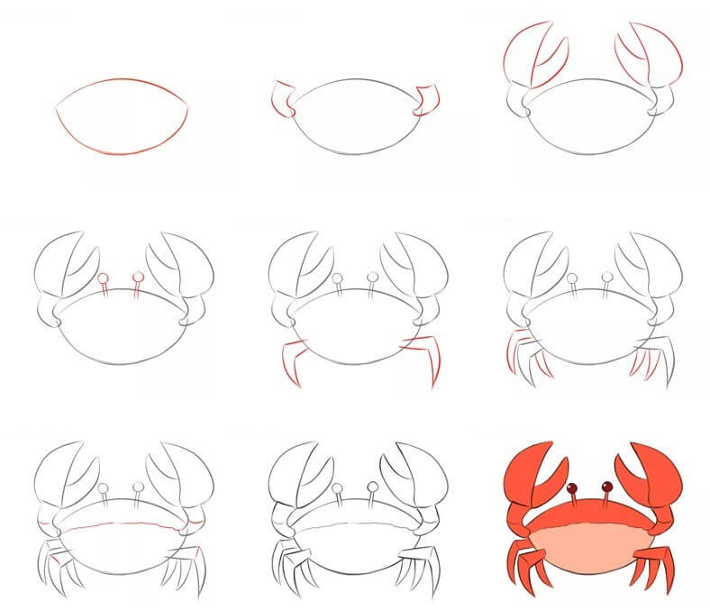 Zeichnen Lernen Krabbe Idee (33)