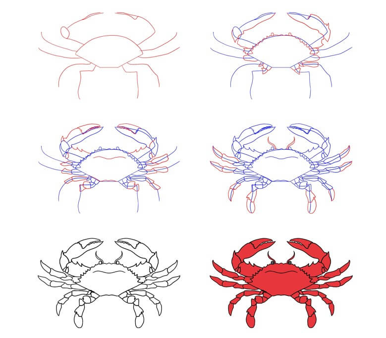 Zeichnen Lernen Krabbe Idee (35)