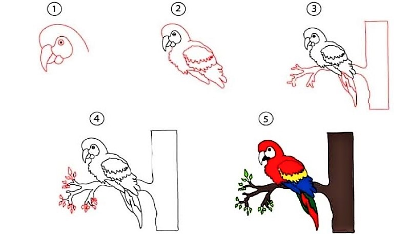 Papagei-Idee 10 zeichnen ideen