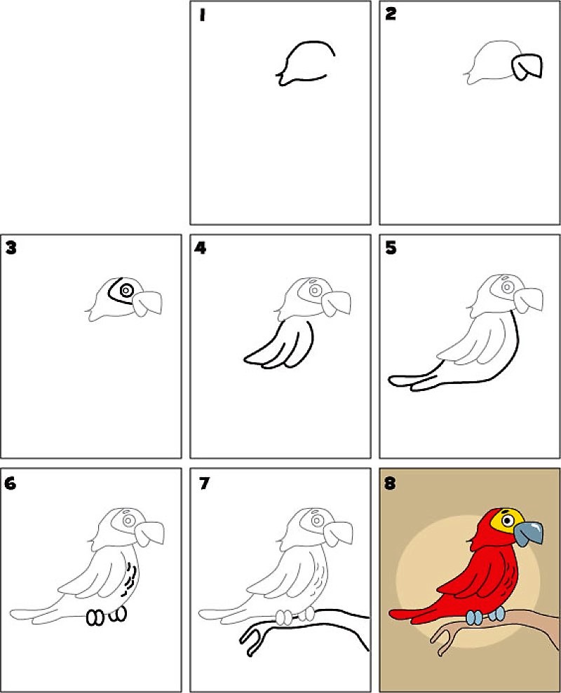 Papagei-Idee 11 zeichnen ideen