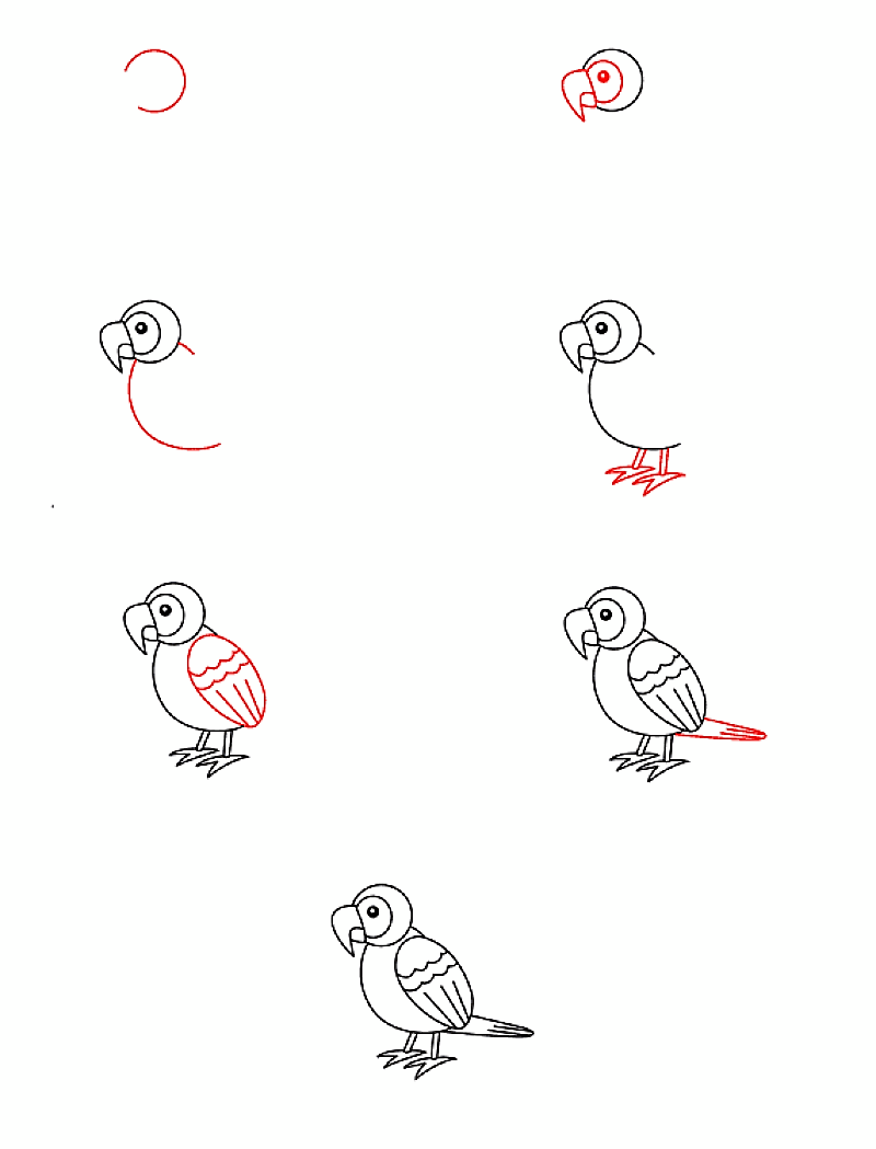 Papagei-Idee 14 zeichnen ideen