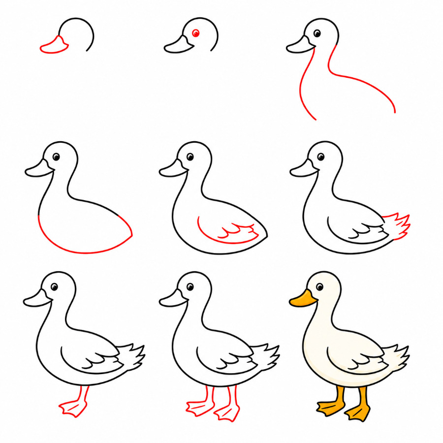 Zeichnen Lernen Weiße Ente