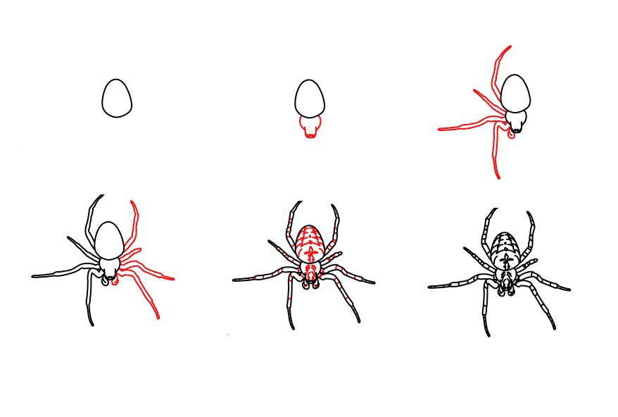 A detailed step-by-step spider zeichnen ideen