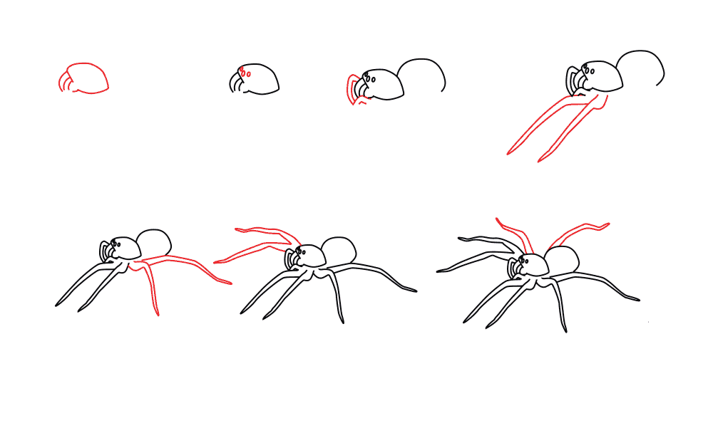 A simple step by step spider zeichnen ideen