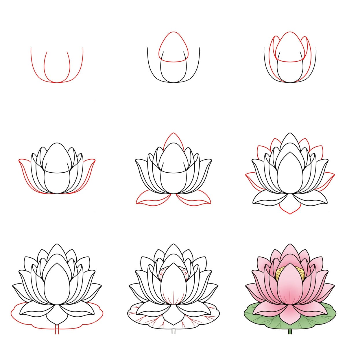 Charmanter Lotus zeichnen ideen