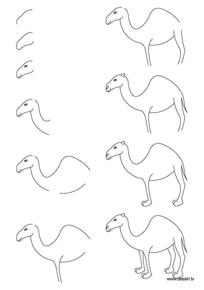Ein einfaches Kamel zeichnen ideen