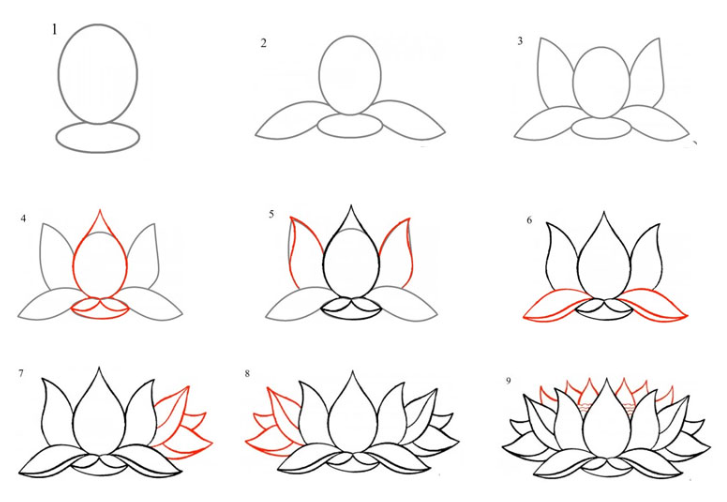 Eine detaillierte Lotusblume zeichnen ideen