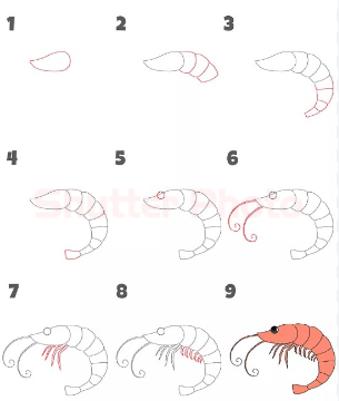 Eine einfache Garnele zeichnen ideen