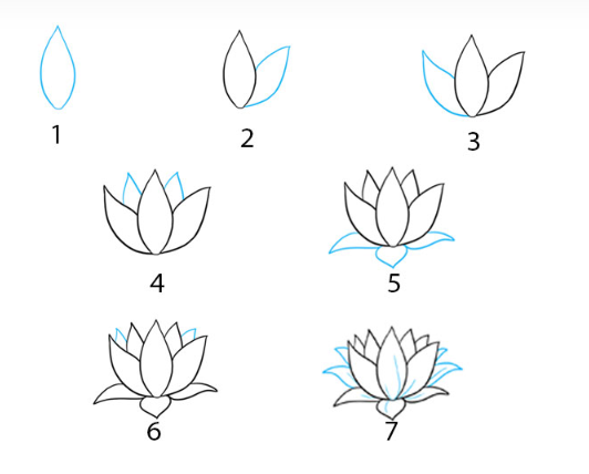 Eine einfache Lotusblume zeichnen ideen