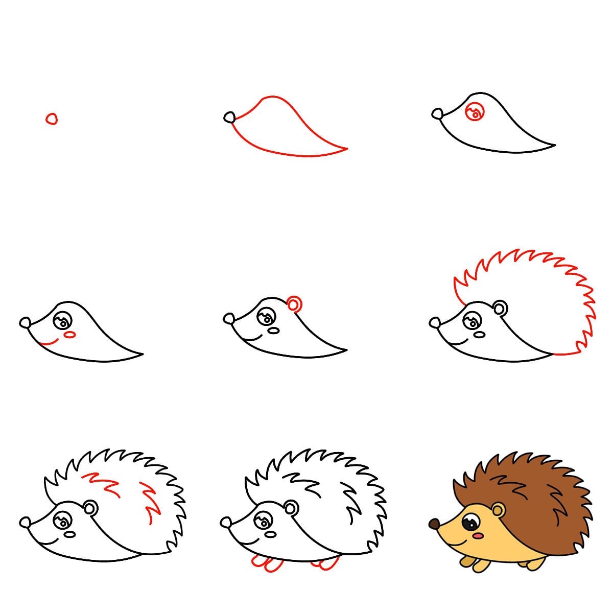 Zeichnen Lernen Einfacher Igel