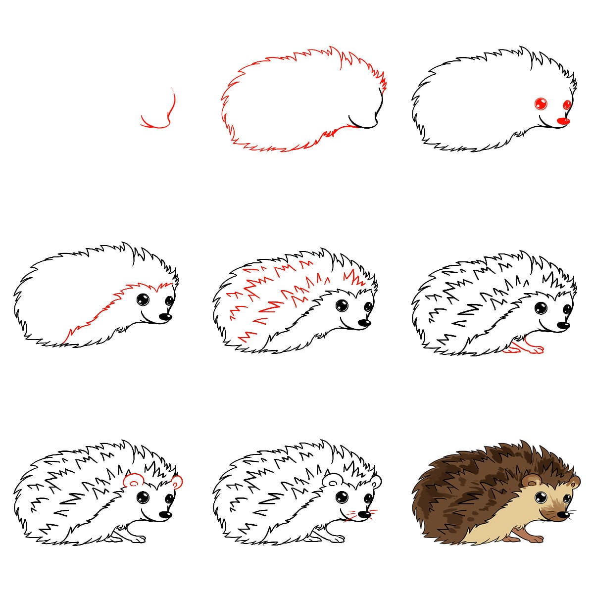 Zeichnen Lernen Erwachsener Igel
