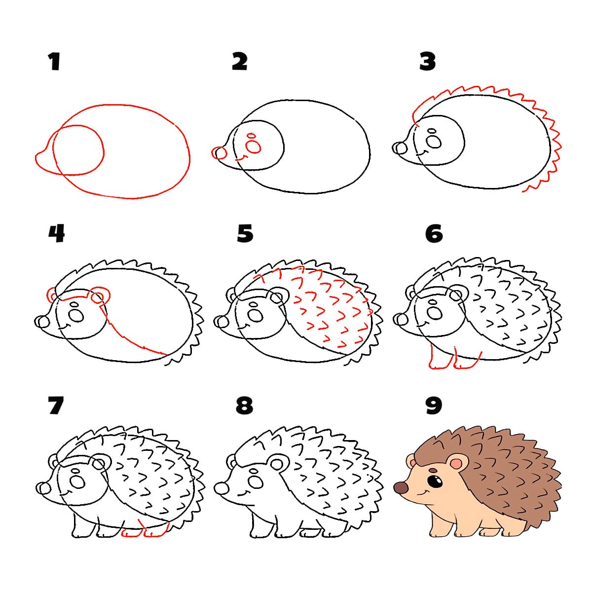 Zeichnen Lernen Fröhlicher Igel