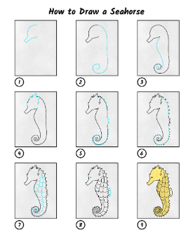 Idee mit einem Seepferdchen 9 zeichnen ideen