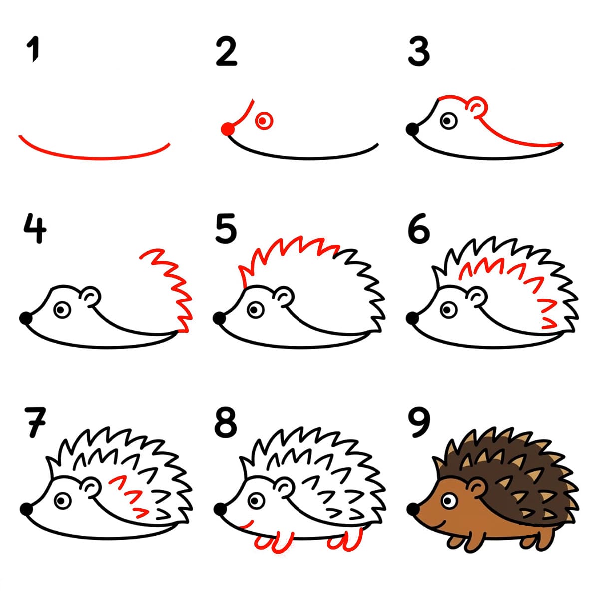Zeichnen Lernen Lächelnder Igel