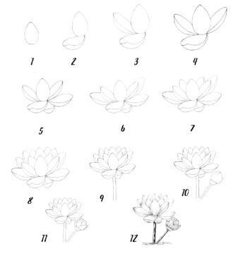 Lotus-Idee 8 zeichnen ideen
