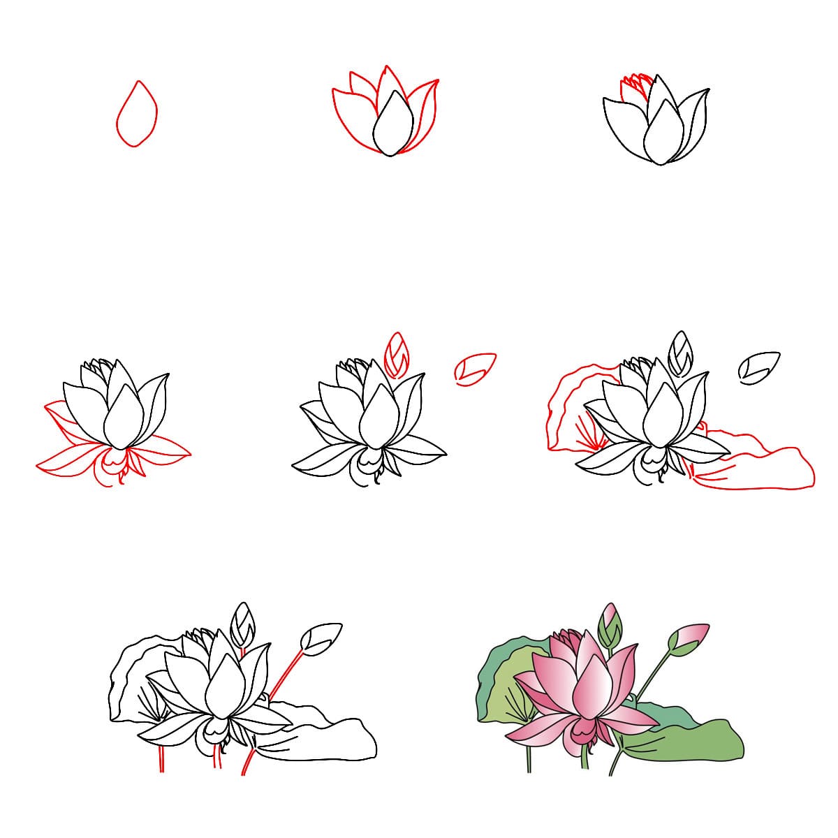 Malerischer Lotus zeichnen ideen