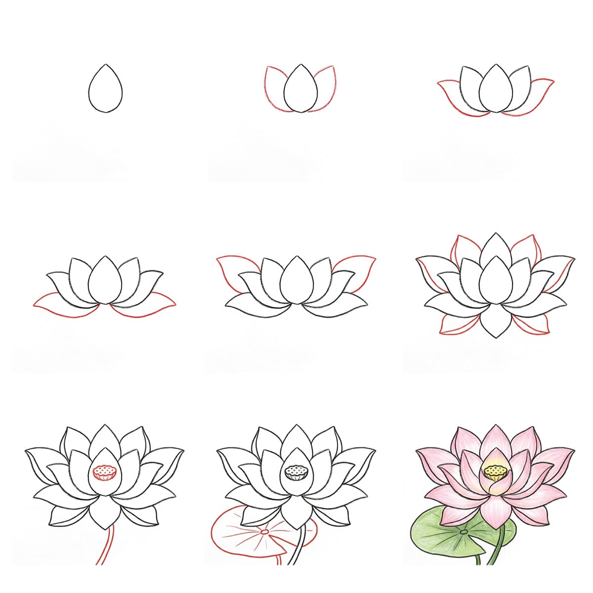 Natürlicher Lotus zeichnen ideen