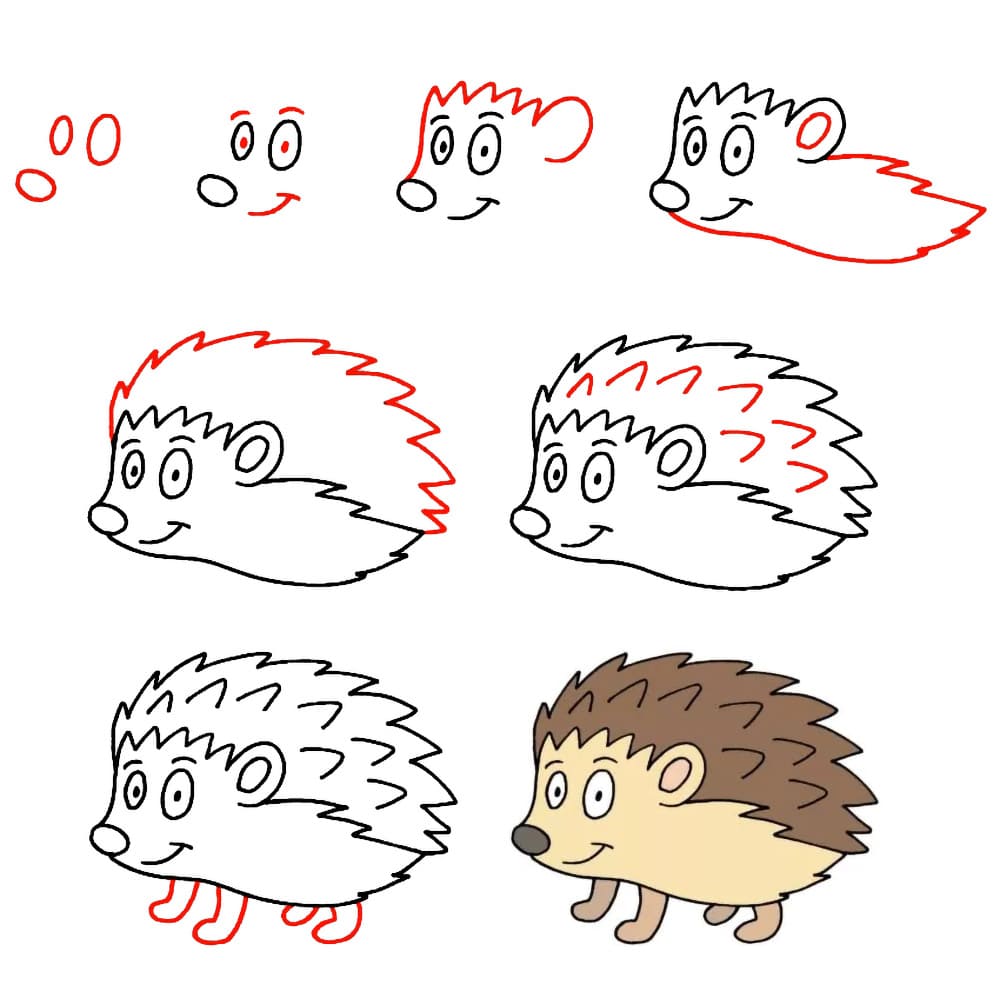 Zeichnen Lernen Niedlicher Igel