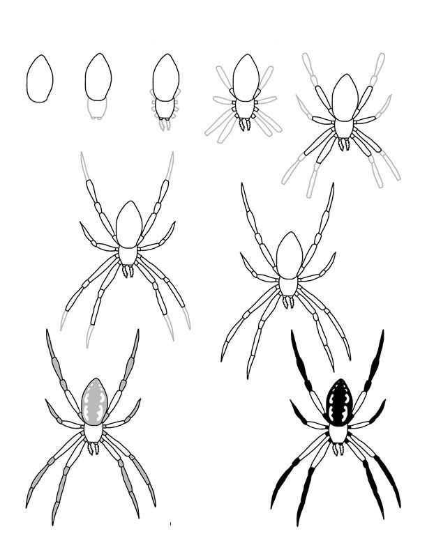 Spider idea 5 zeichnen ideen
