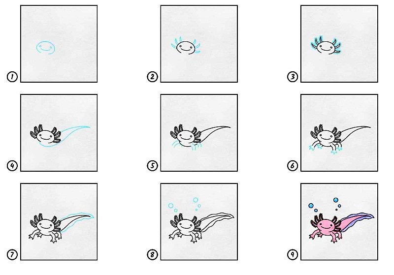 Die Idee von Axolotl 6 zeichnen ideen