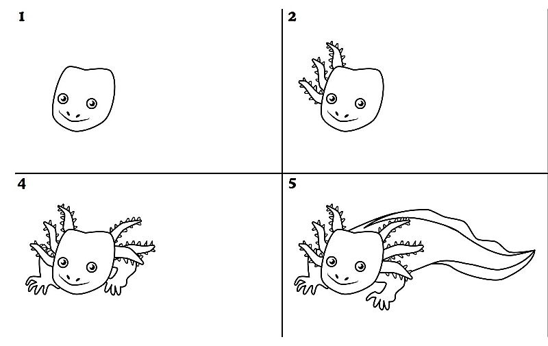 Die Idee von Axolotl 7 zeichnen ideen