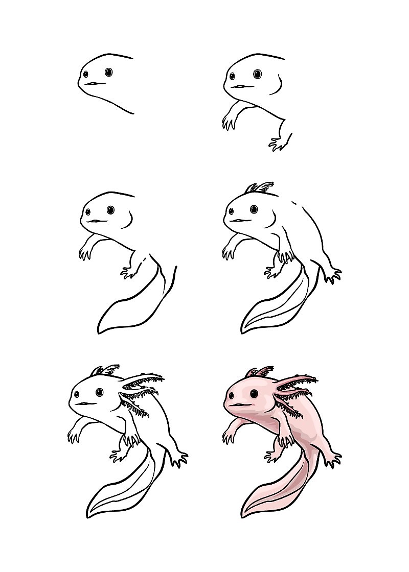 Ein süßer Axolotl zeichnen ideen