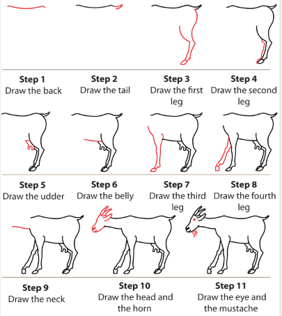 Eine detaillierte Schritt-für-Schritt-Anleitung für die Ziege zeichnen ideen