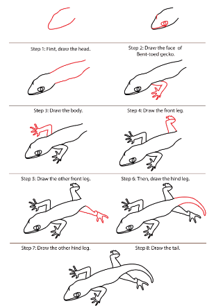 Eine detaillierte Schritt-für-Schritt-Anleitung für den Gecko zeichnen ideen