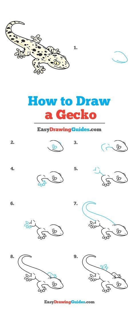 Gecko-Idee 2 zeichnen ideen