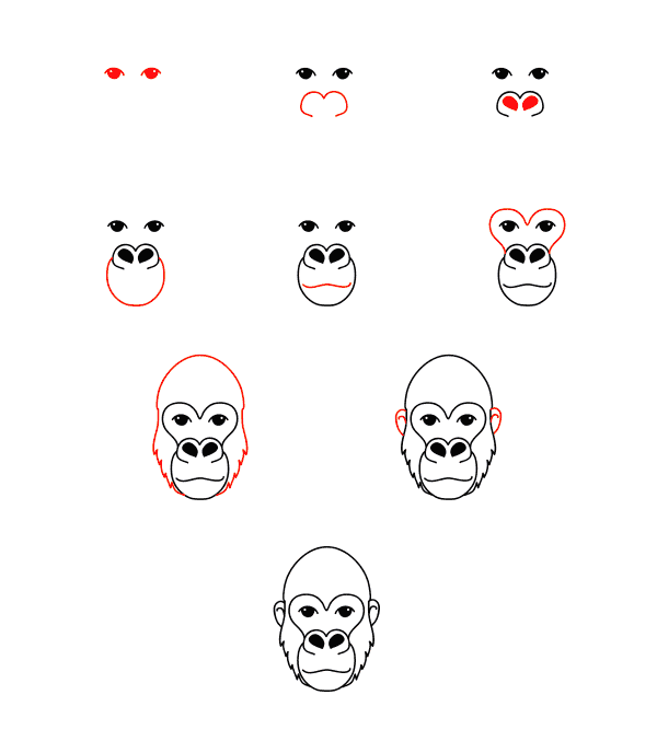 Gorillagesicht zeichnen ideen