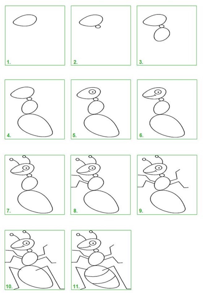 Zeichnen Lernen Idée de fourmi 3