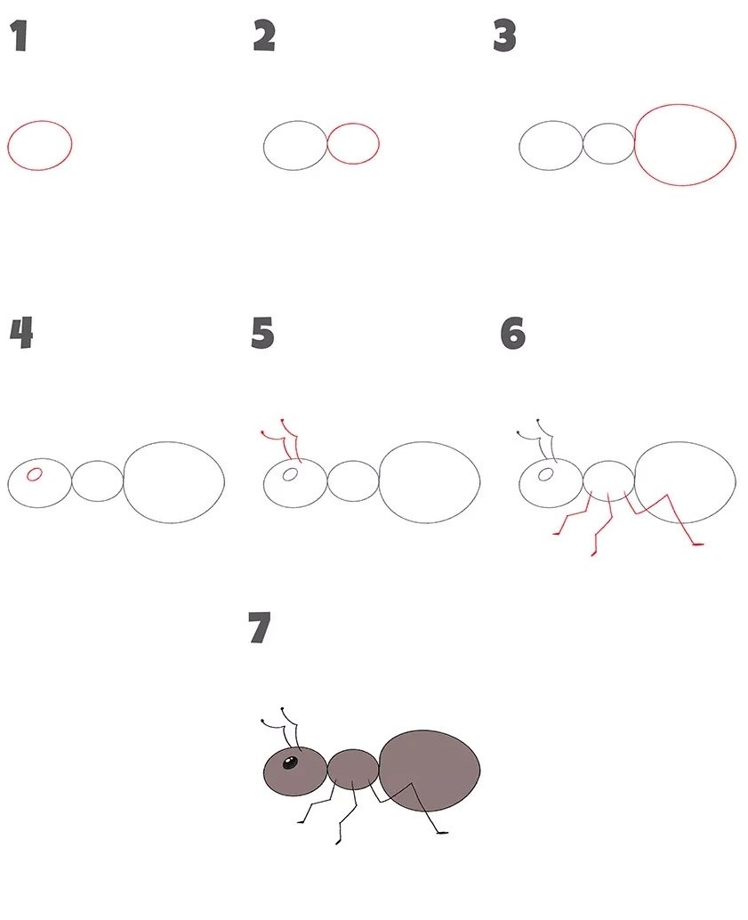 Zeichnen Lernen Idée de fourmi