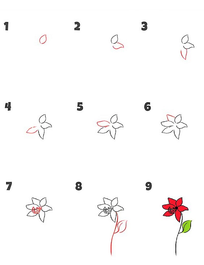 Idee mit einer Lilienblume 2 zeichnen ideen