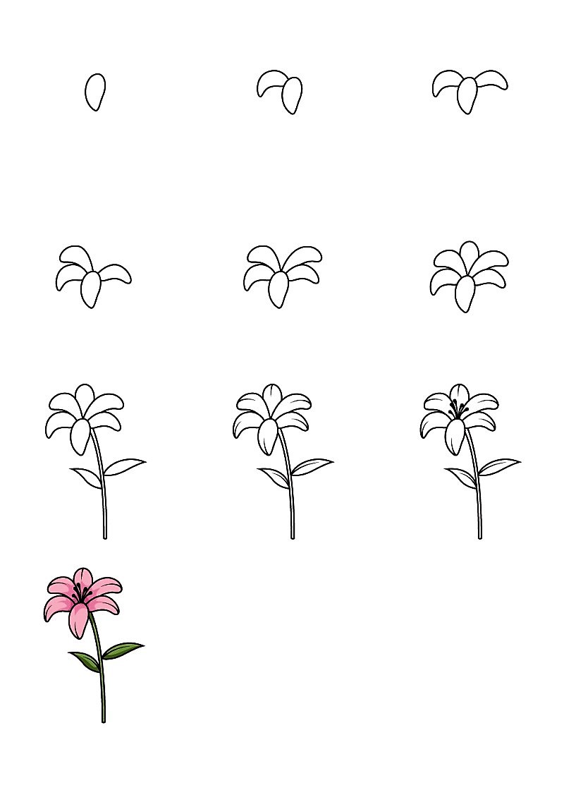 Idee mit einer Lilienblume 6 zeichnen ideen