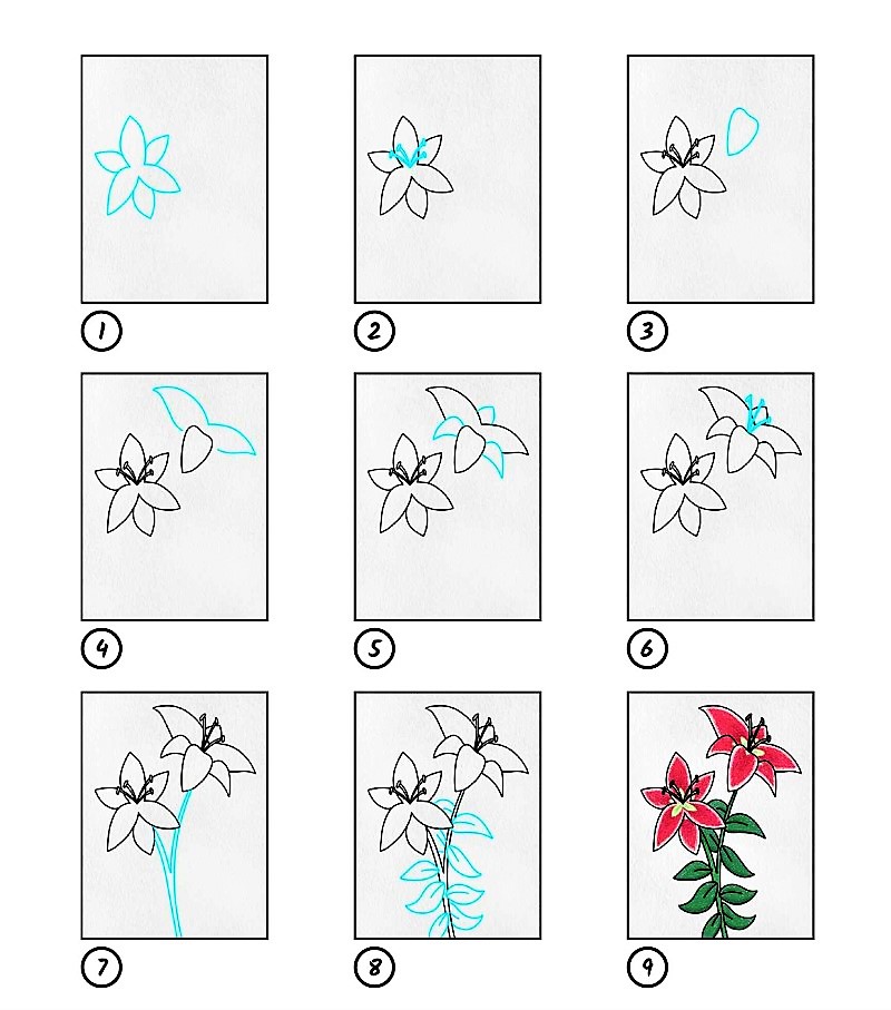 Idee mit einer Lilienblume 7 zeichnen ideen