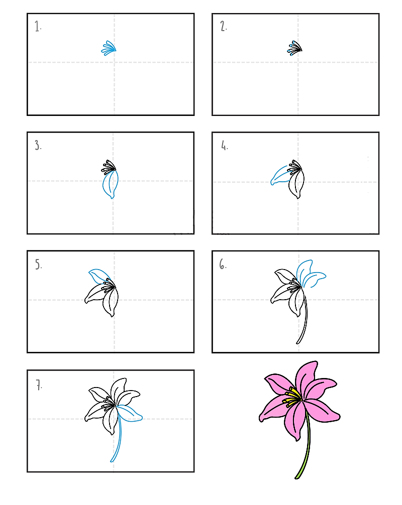 Idee mit einer Lilienblume 9 zeichnen ideen