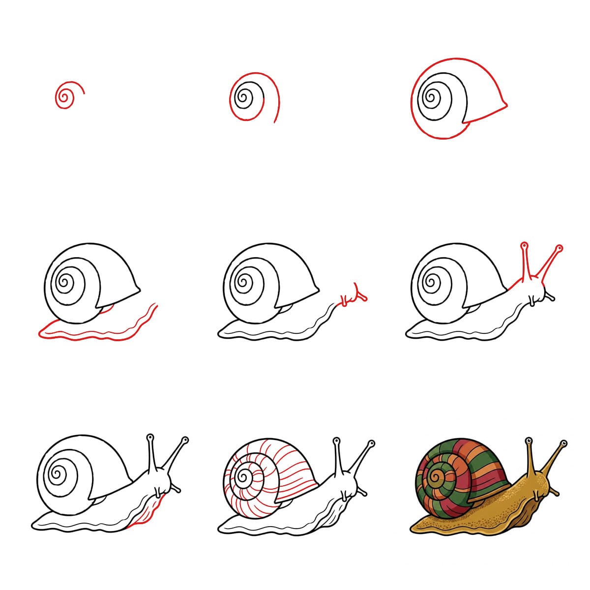 Kleine Schnecke zeichnen ideen