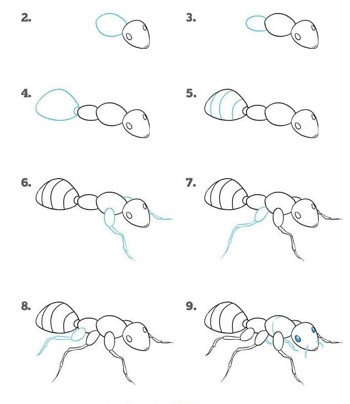 Une fourmi détaillée zeichnen ideen