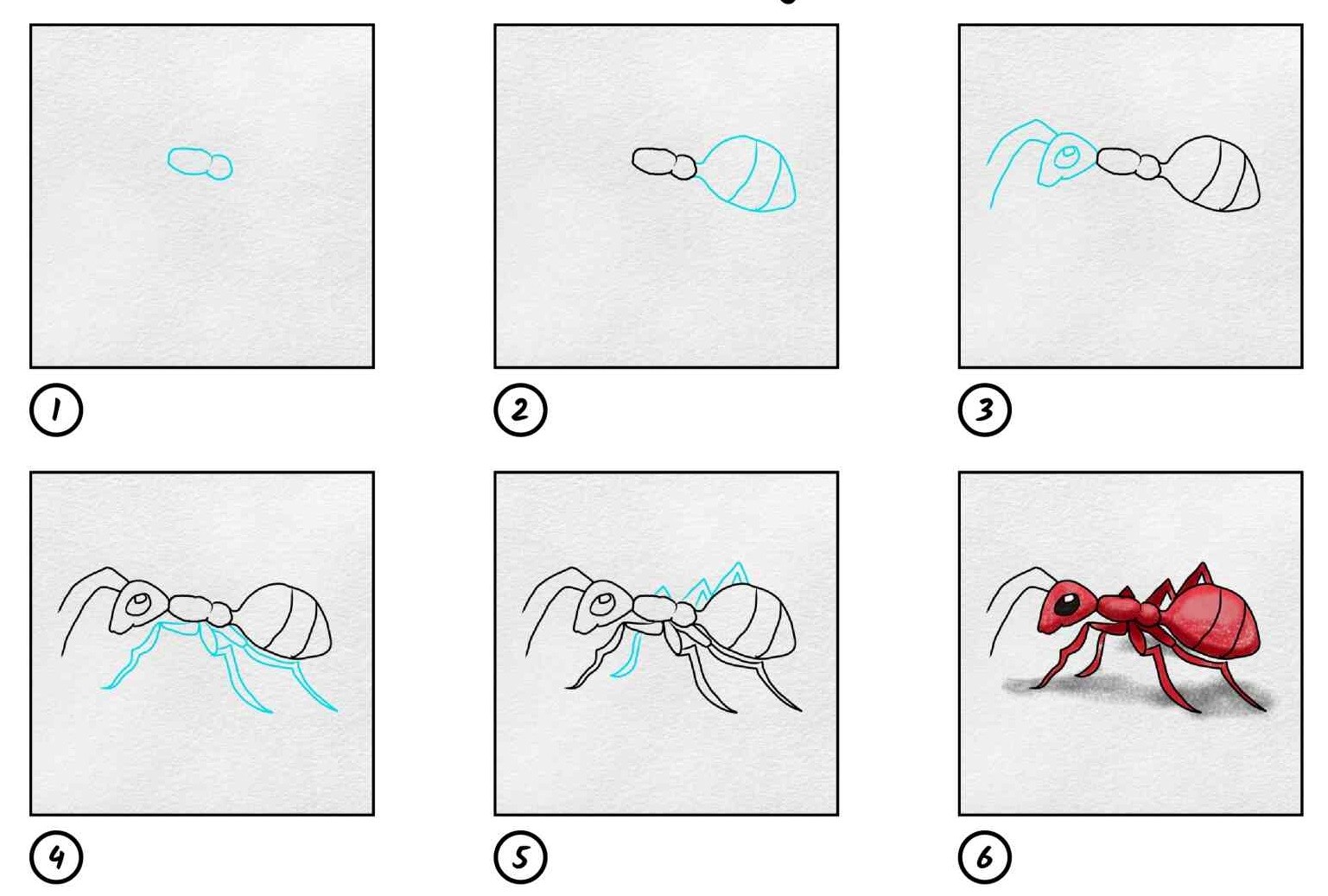 Une fourmi des champs zeichnen ideen