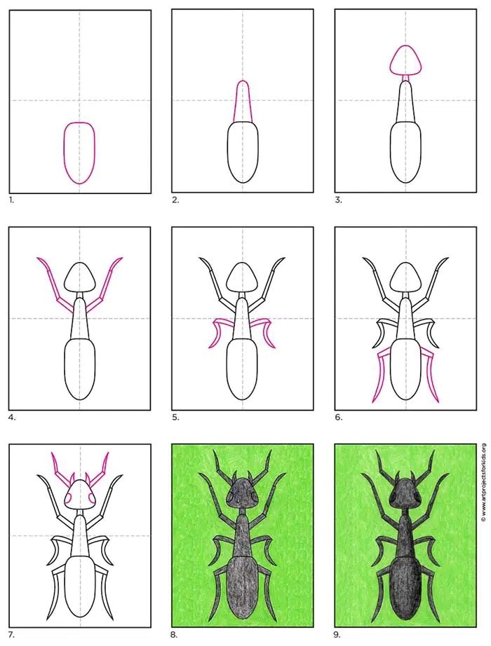 Une fourmi immonde zeichnen ideen