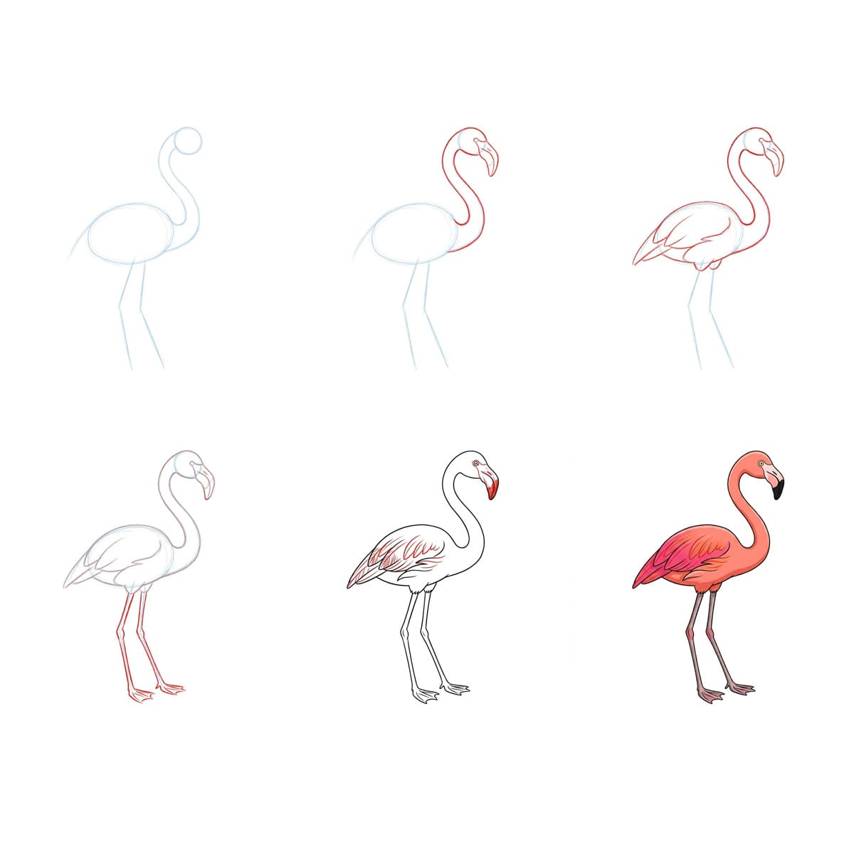 Eleganter Flamingo zeichnen ideen