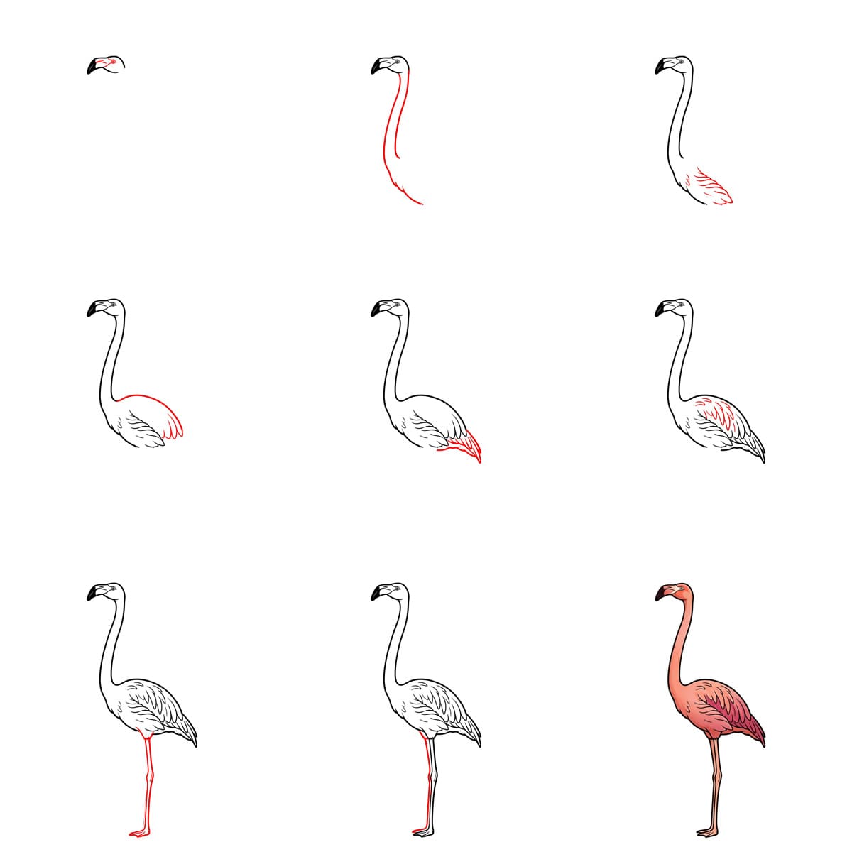 Majestätischer Flamingo zeichnen ideen