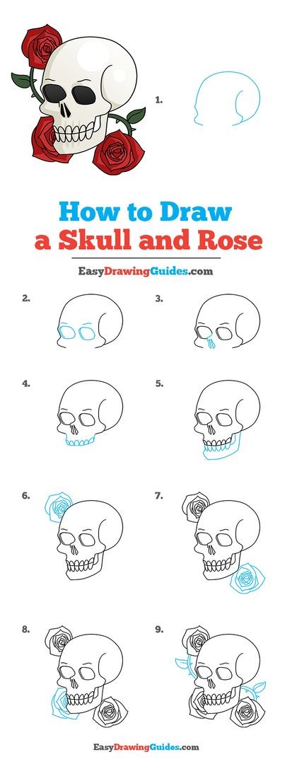 Skull 5 zeichnen ideen