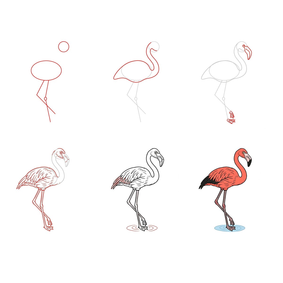 Spiegelnder Flamingo zeichnen ideen