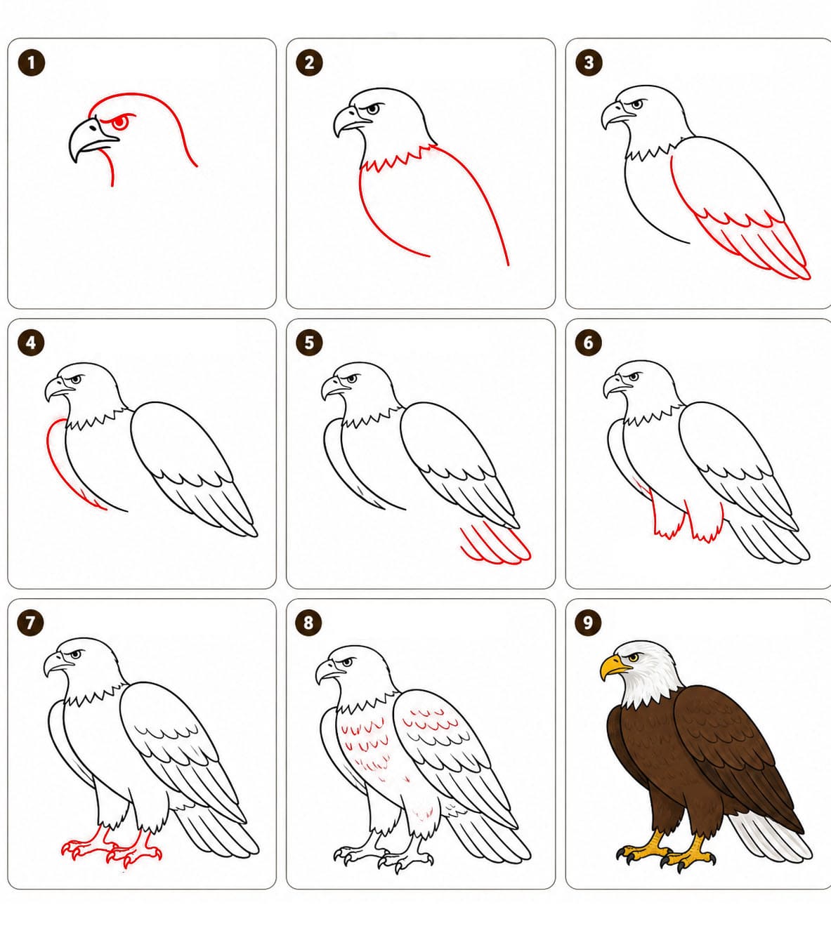 Aufmerksamer Adler zeichnen ideen