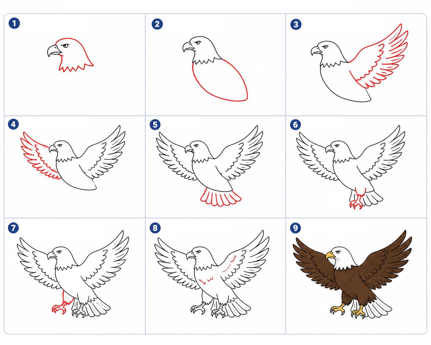 Bereiter Adler zeichnen ideen