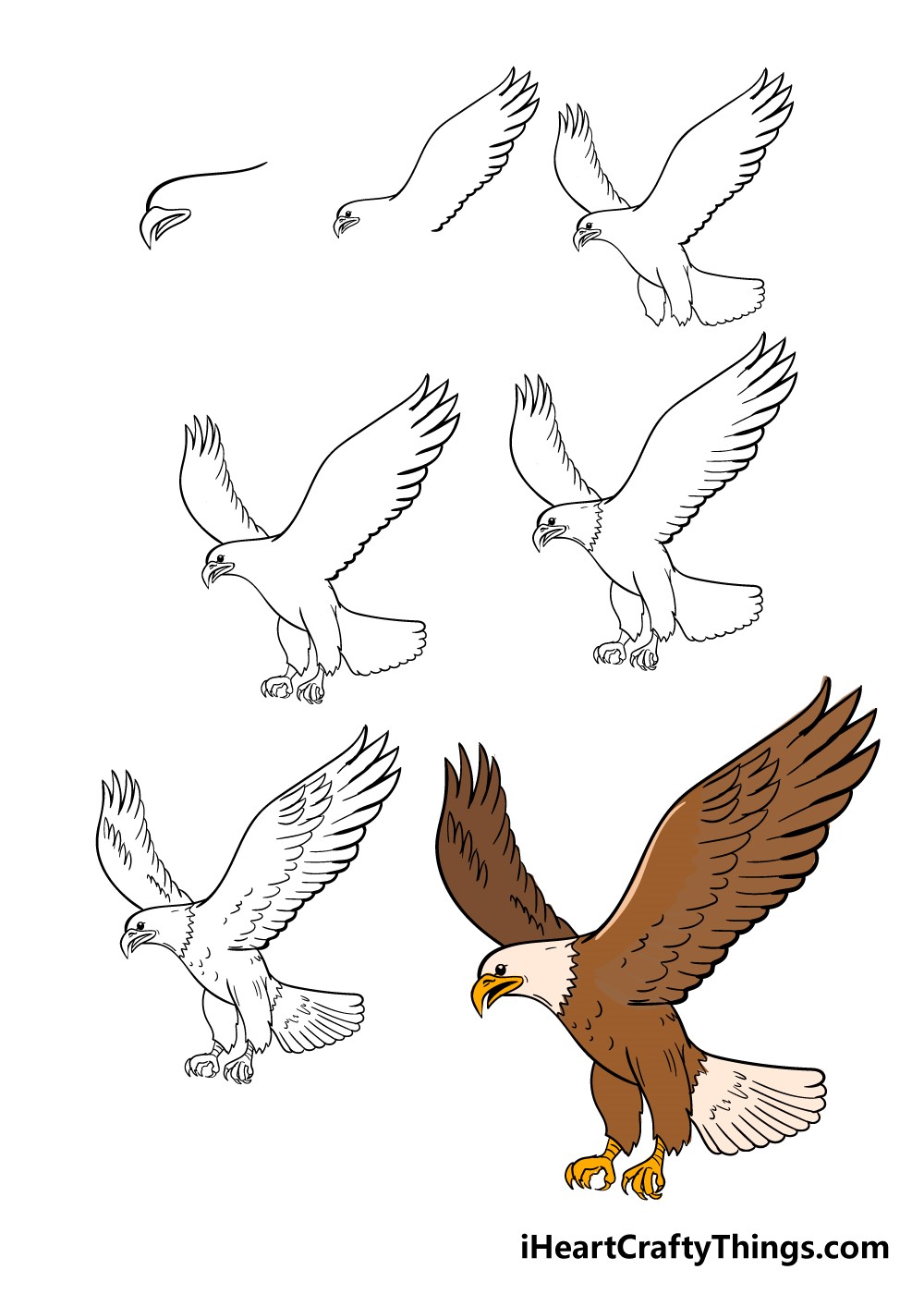 Adler zeichnen ideen