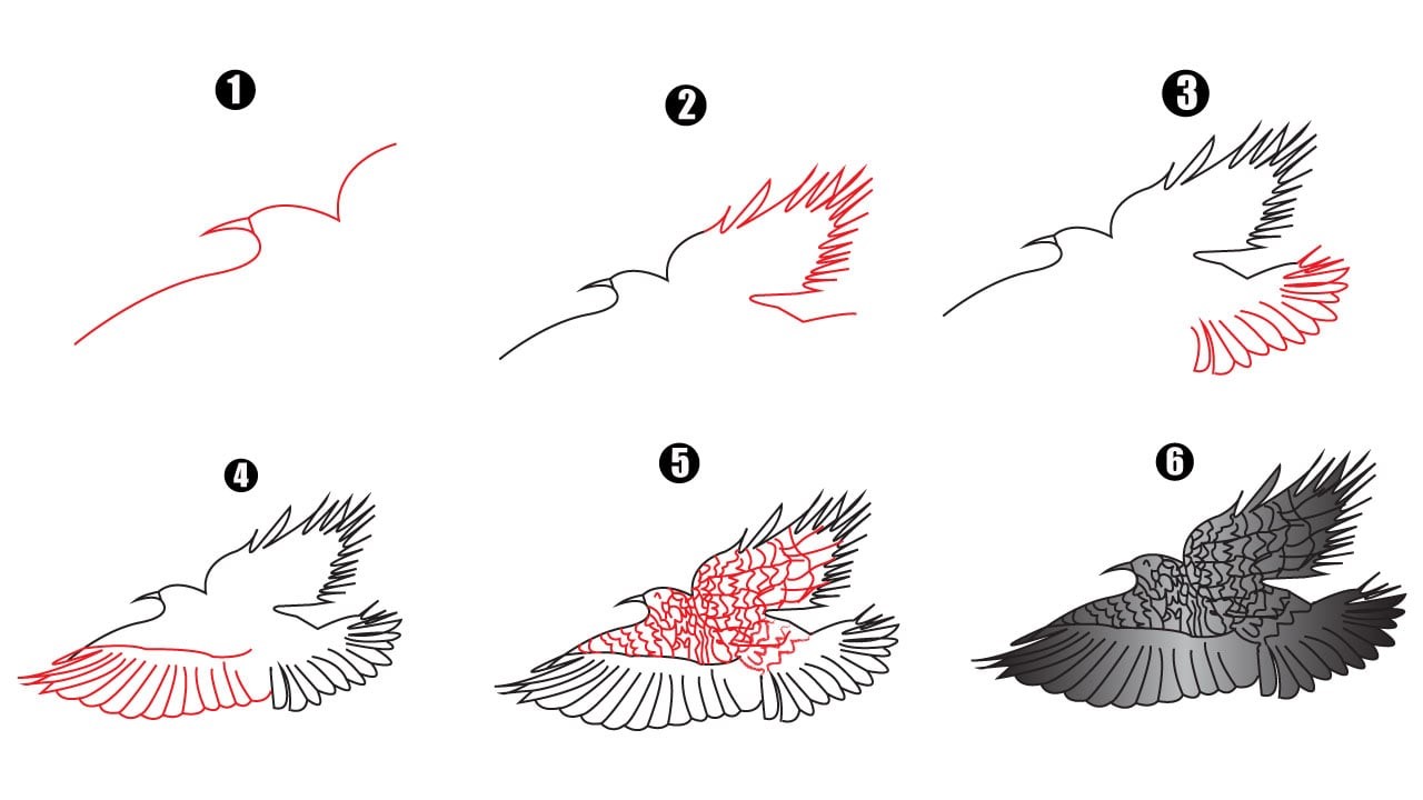 Eagle-Idee 11 zeichnen ideen